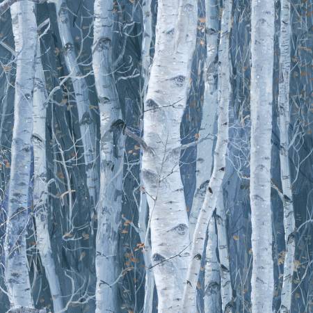 Winter Birch