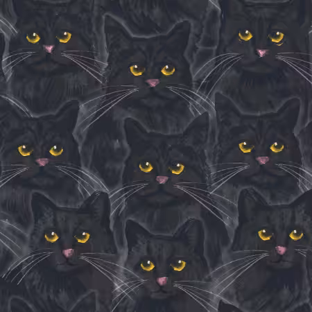 Black Mysterious Purrs