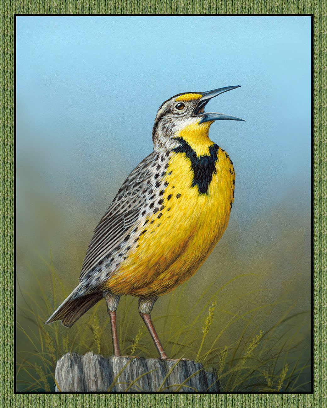 Product Image For 25007E-MULTI.