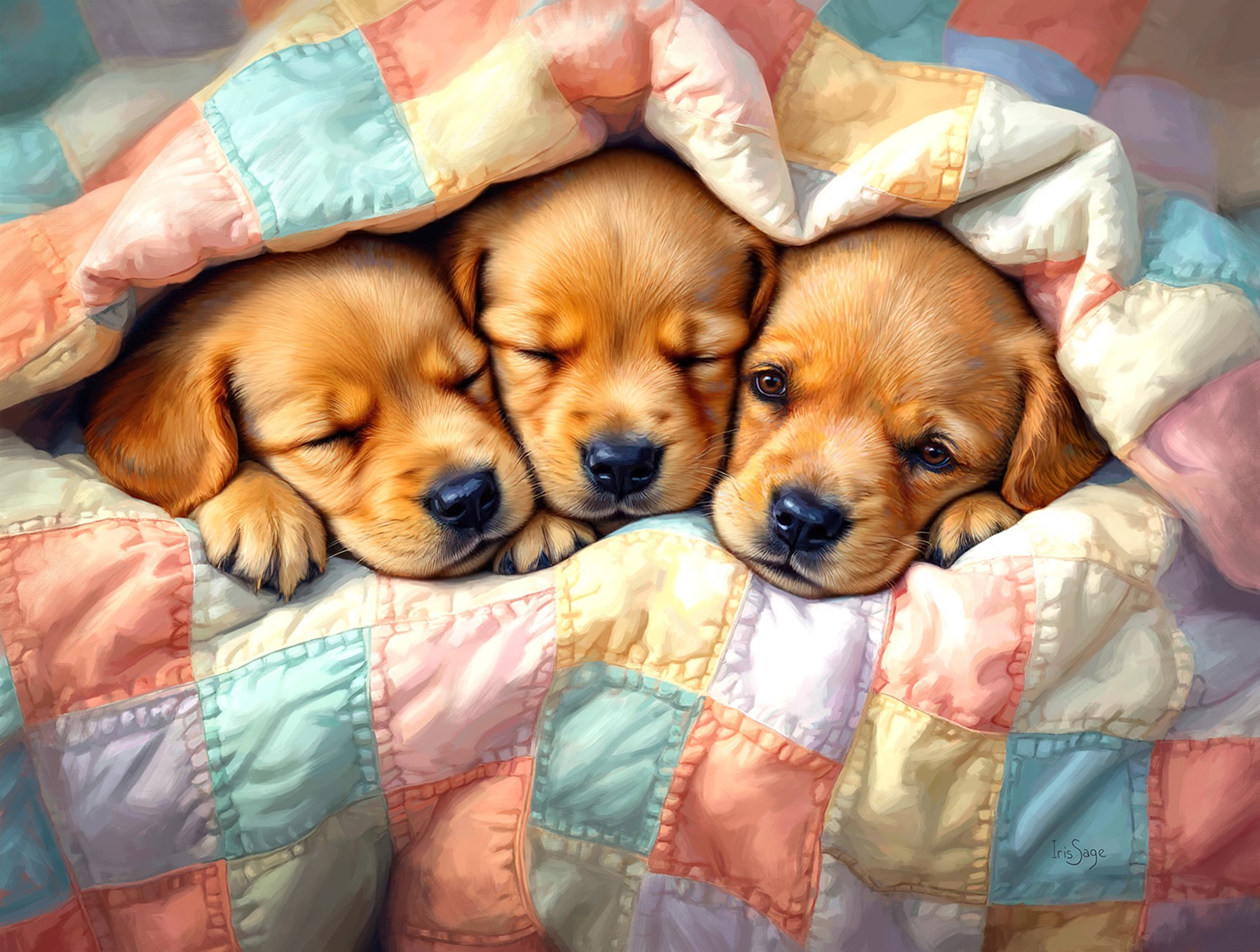 Product Image For 28130.