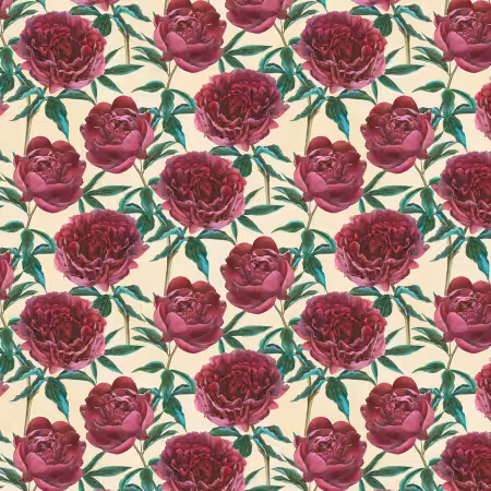 Cream Florals All Over