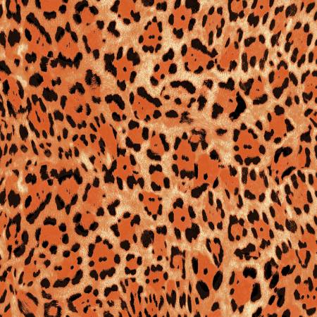 Sunrise Leopard