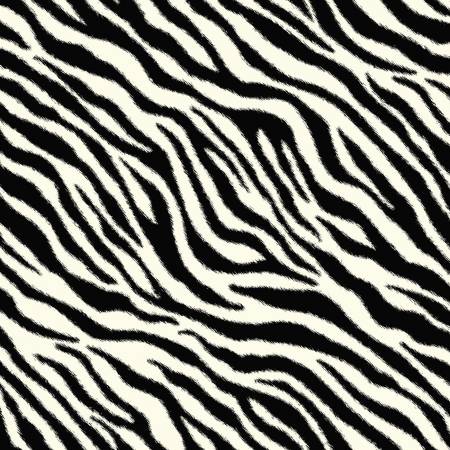 Black Zebra
