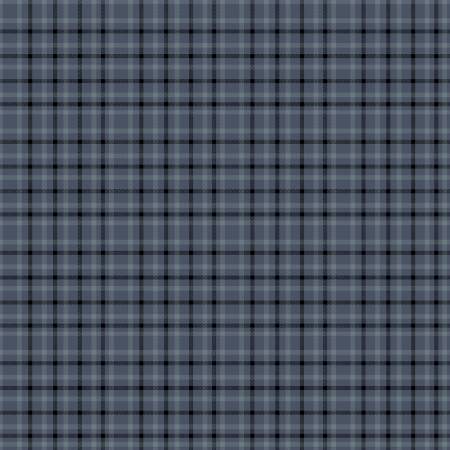 Blue Window Pane Plaid