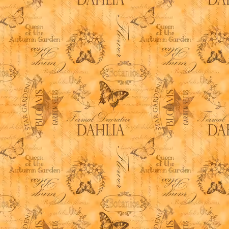 Ephemera Orange