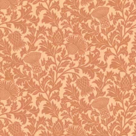 Orange Allover Thistle