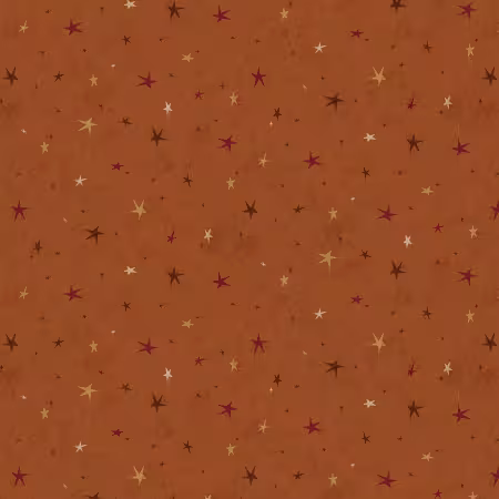 Pumpkin Seeing Stars Basic