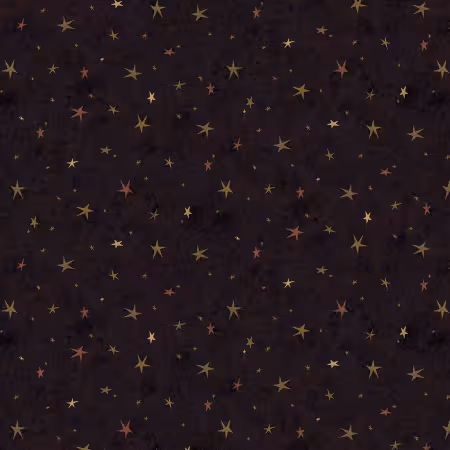 Light Black Seeing Stars Basic