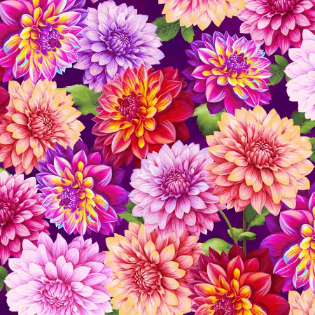 Purple Dahlias 24 Inch