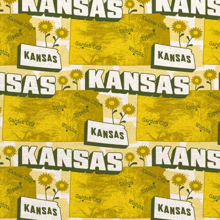State Map Kansas Gold