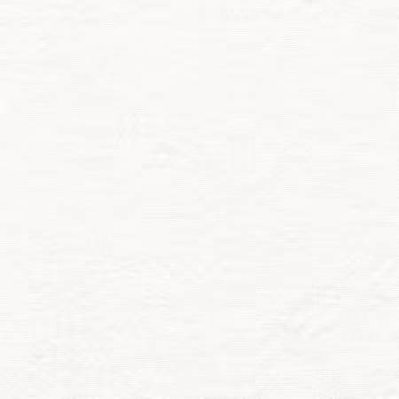White on White Tone on Tone