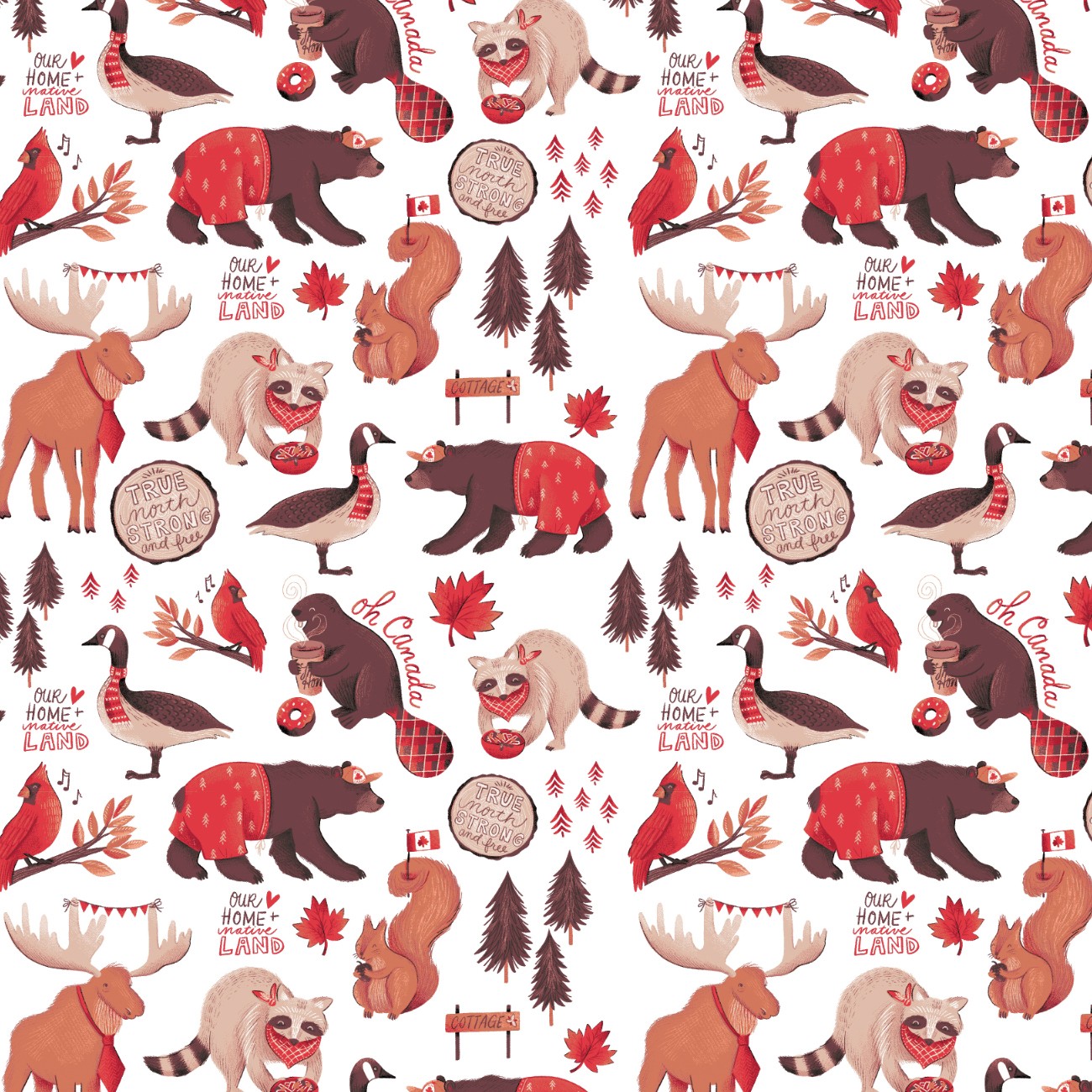 Product Image For 36250108B-01.
