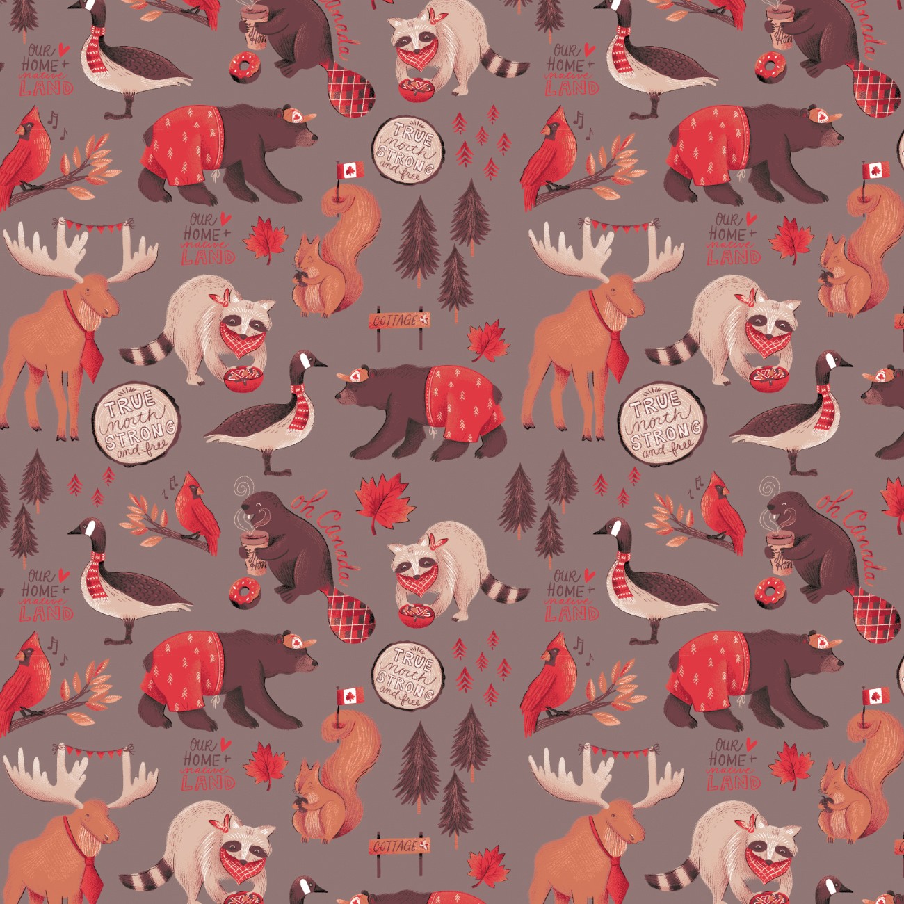 Product Image For 36250108B-02.