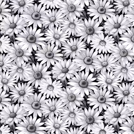 Black Daisies