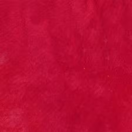 Cardinal Solid