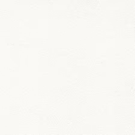 White on White Tone on Tone