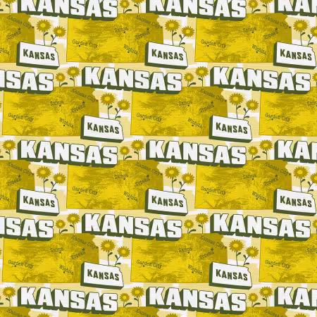 State Map Kansas Gold