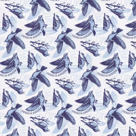 State Birds Missouri Blue