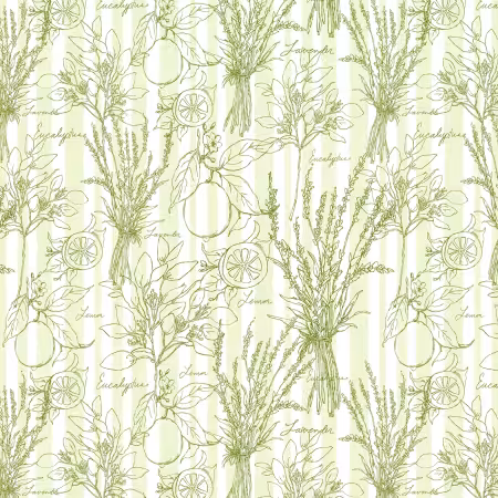Lime Toile Stripe WP080625