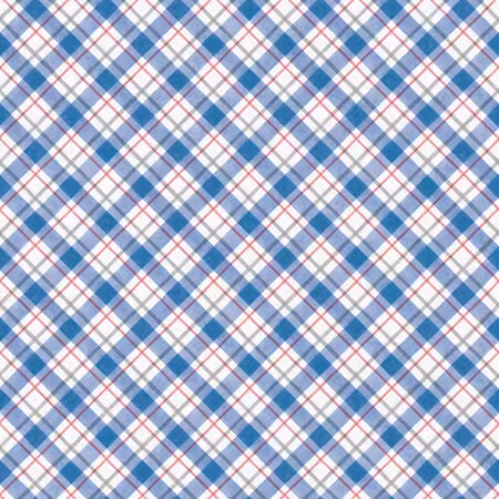 Diagonal Plaid White/Dark Blue