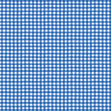 Gingham White/Dark Blue