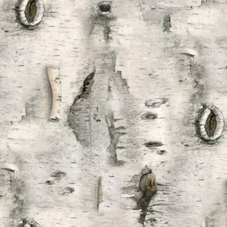 Grey Birch Wood