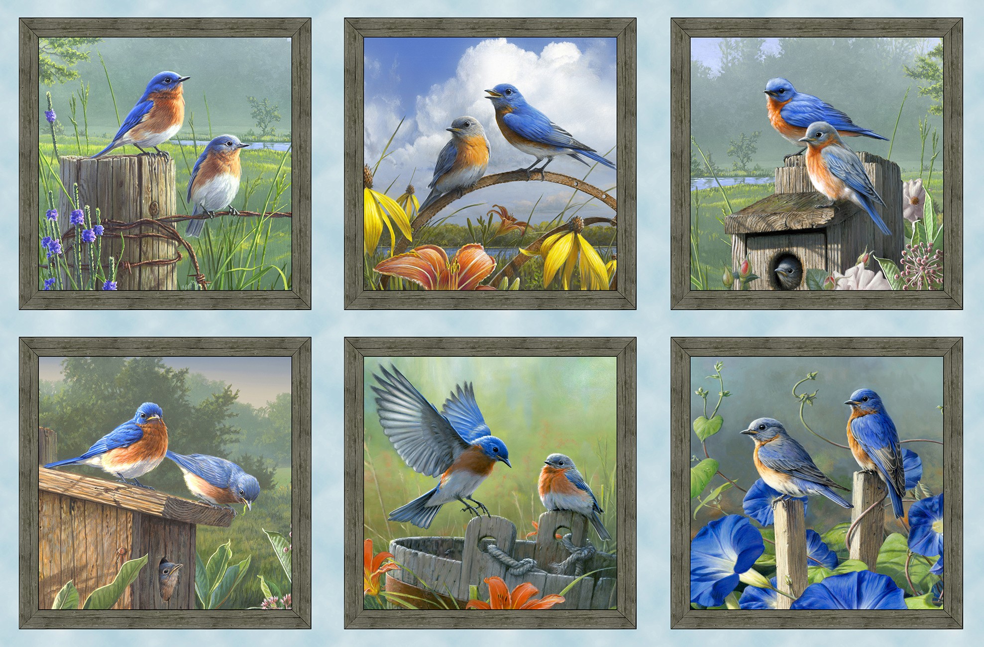 Product Image For 46008E-BLUE.