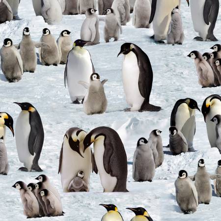 Snow Penguins