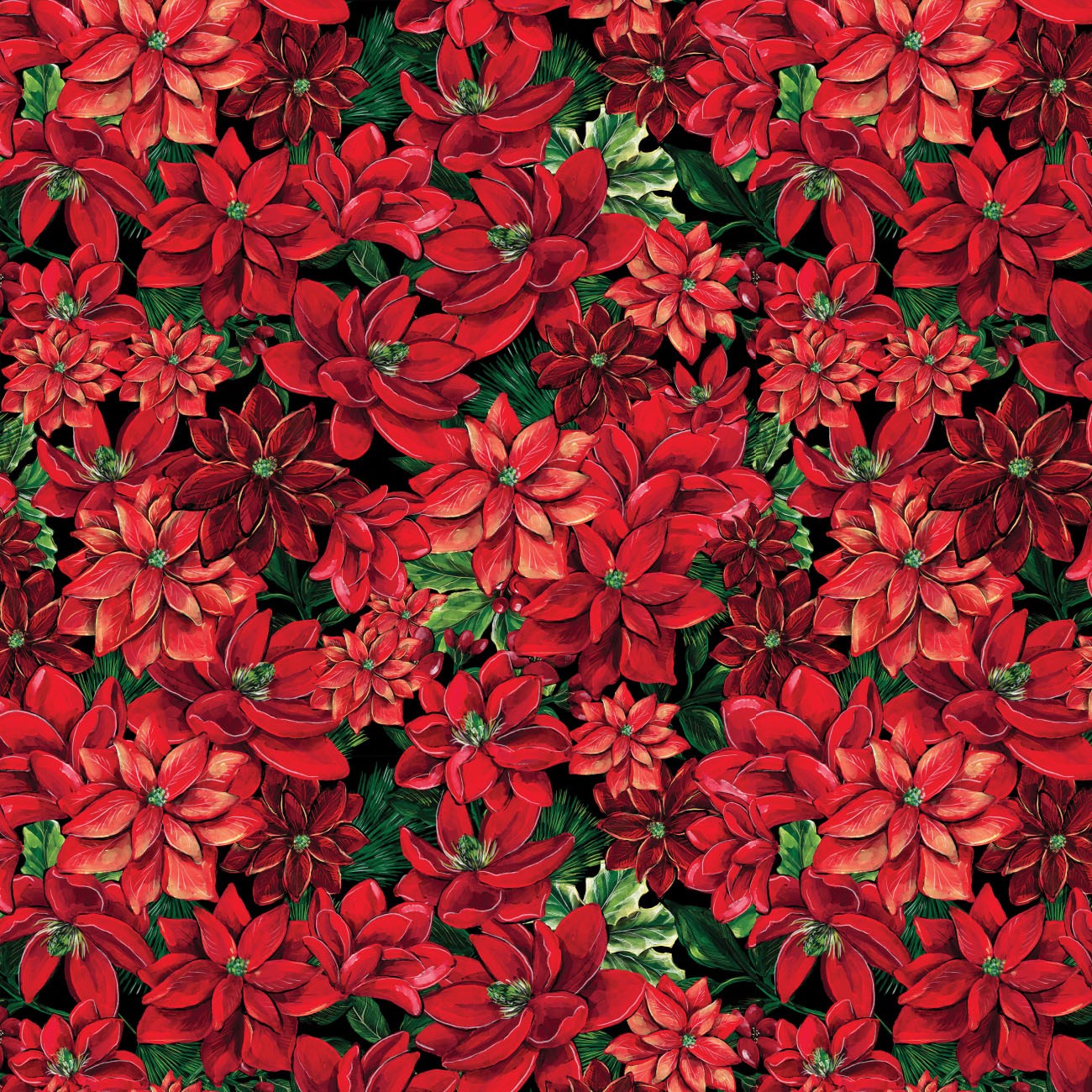 Red Poinsettias