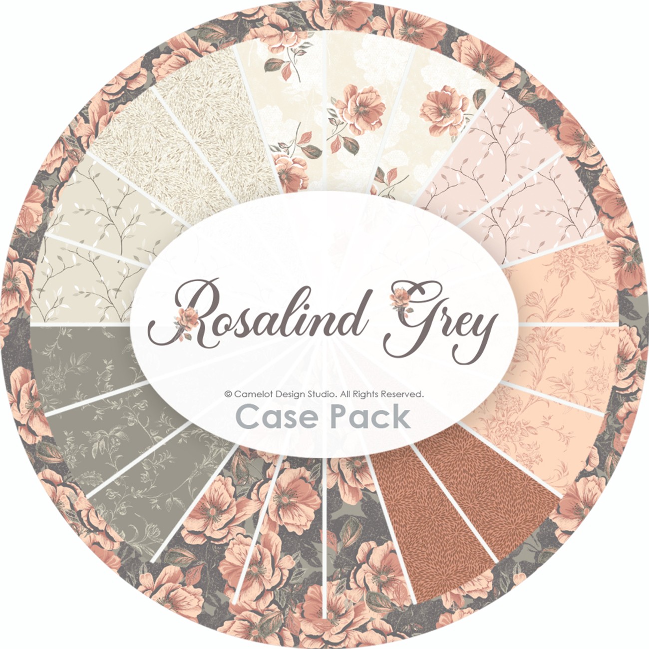 Product Image For 50250205CASE.