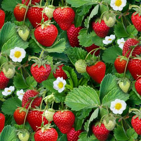 Green Strawberries