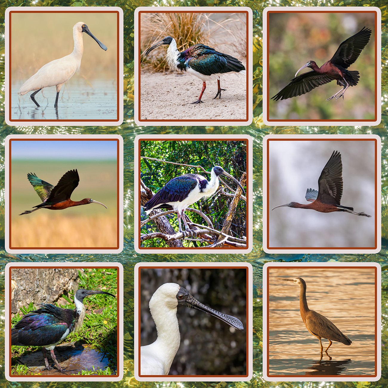 Product Image For 5088-02.