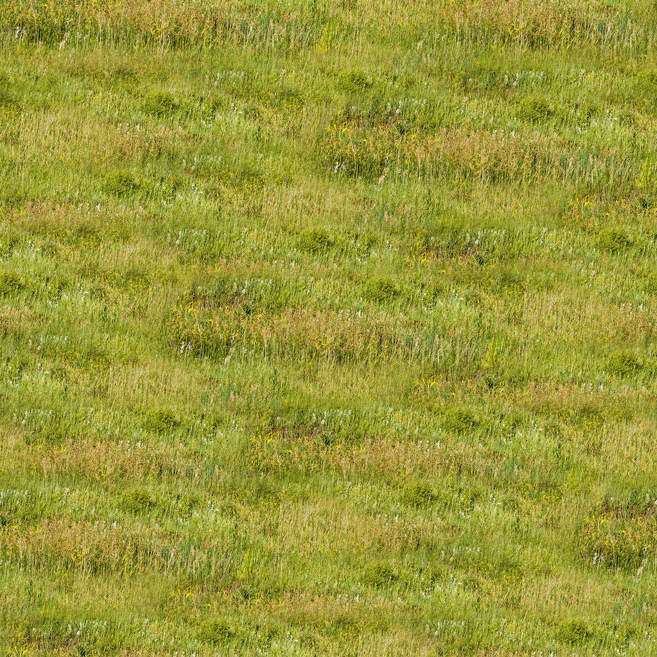 Product Image For 5091-01.