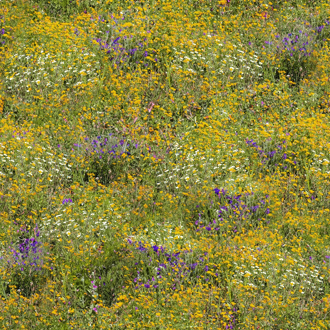 Product Image For 5091-03.