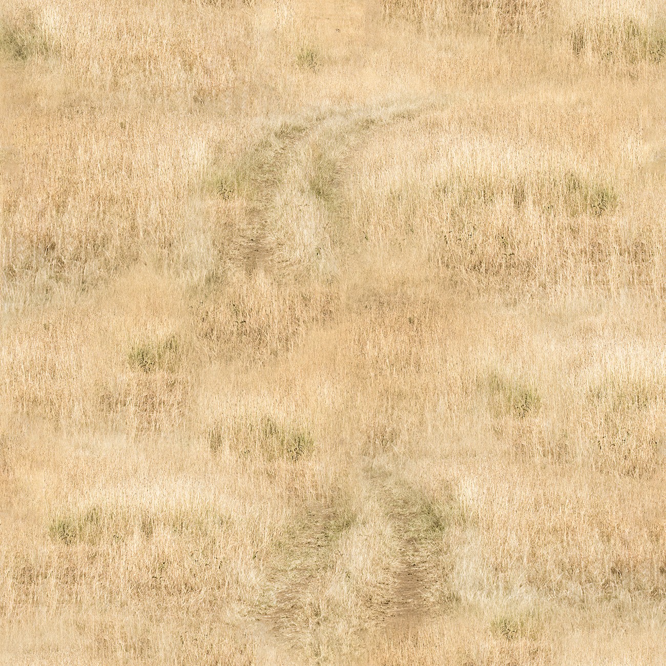 Product Image For 5091-07.