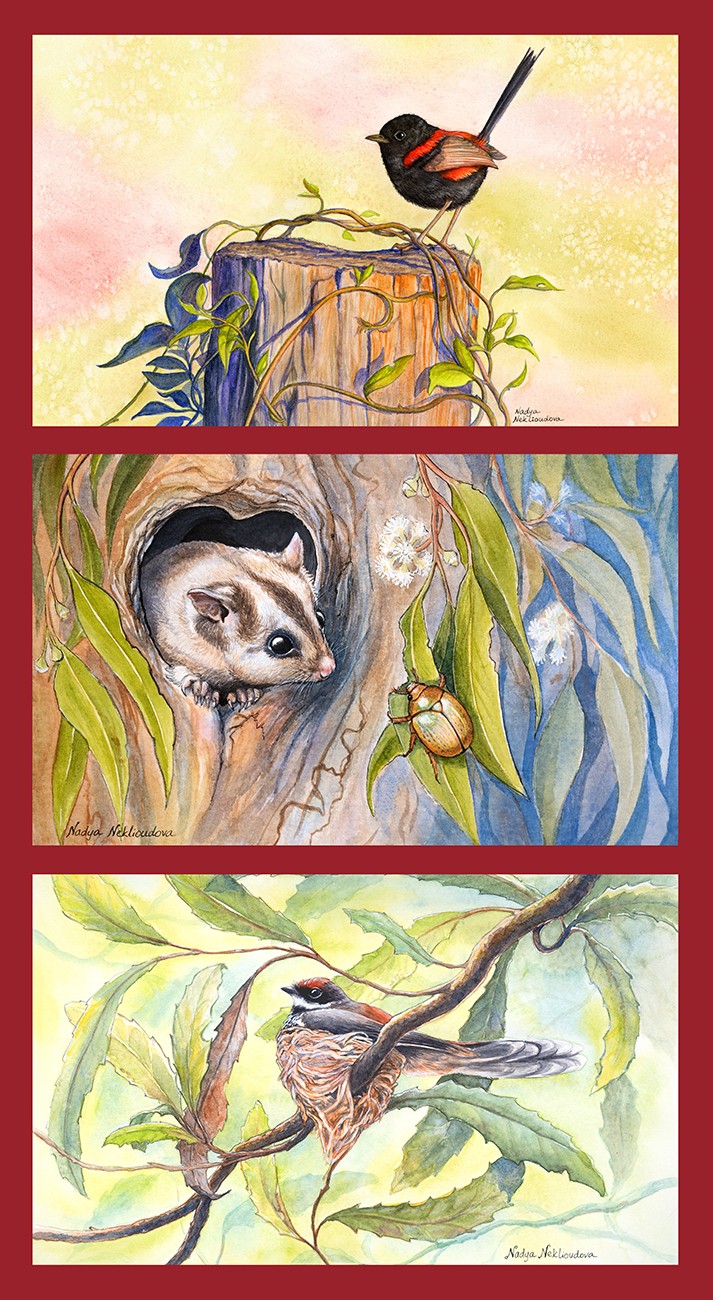 Product Image For 5095-02.