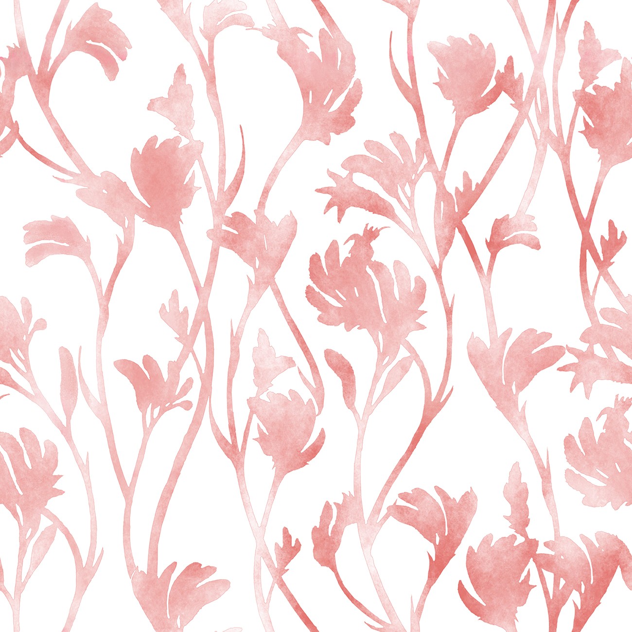 Product Image For 5095-11.