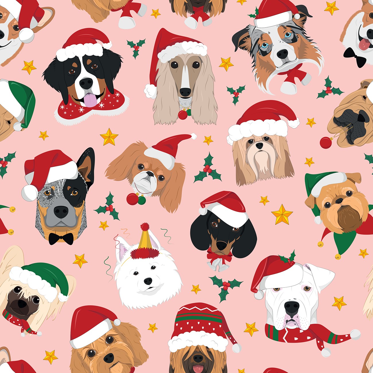 Product Image For 5097-02.