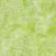 Image Thumb 1