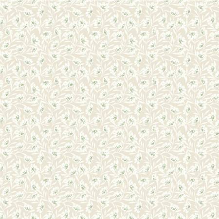 Taupe Scatter