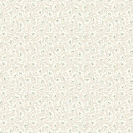 Taupe Scatter