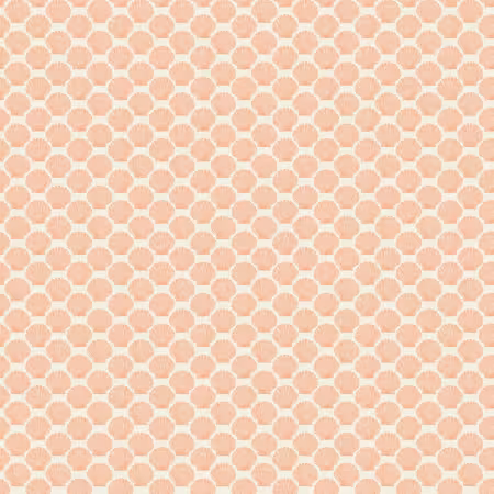 Coral Shell