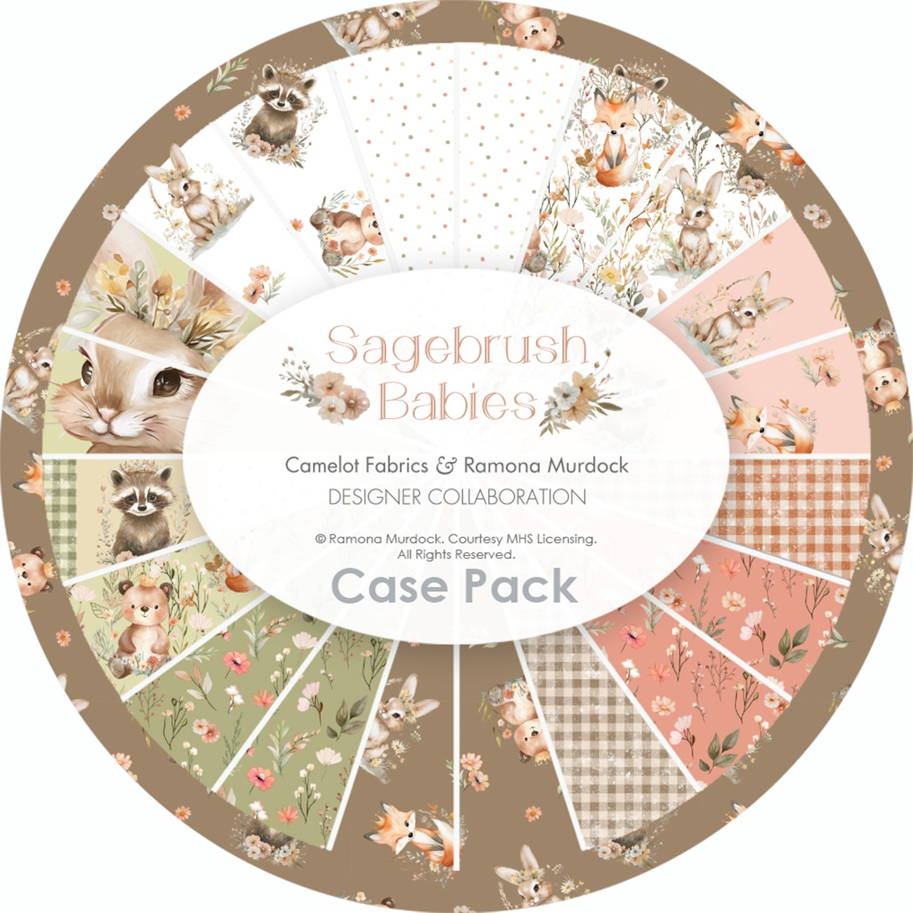 Product Image For 55250206SSCASE.