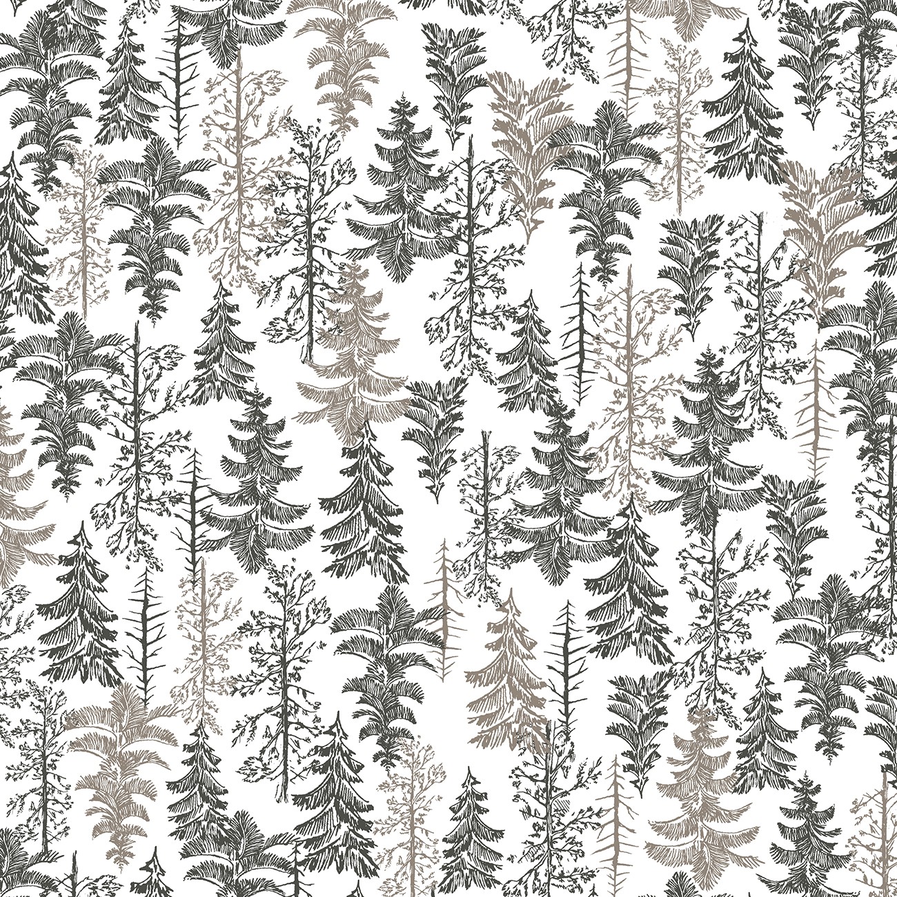 Product Image For 55501F-2.