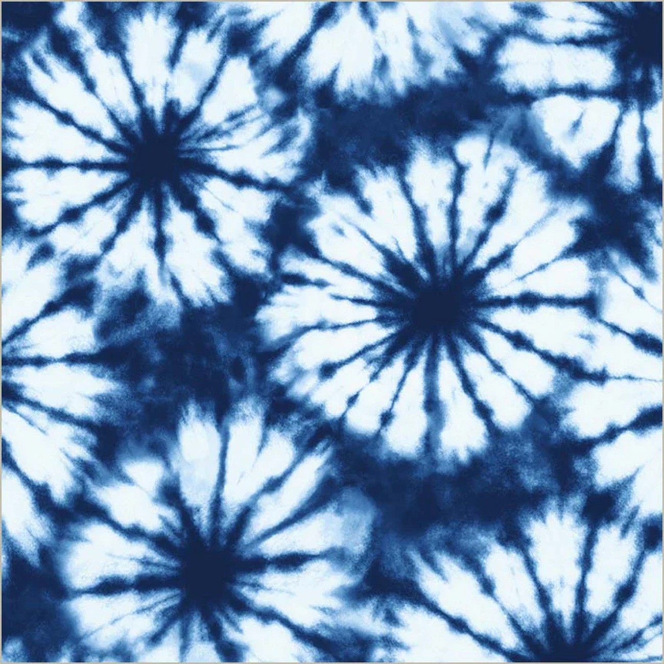 Product Image For 55639-1.