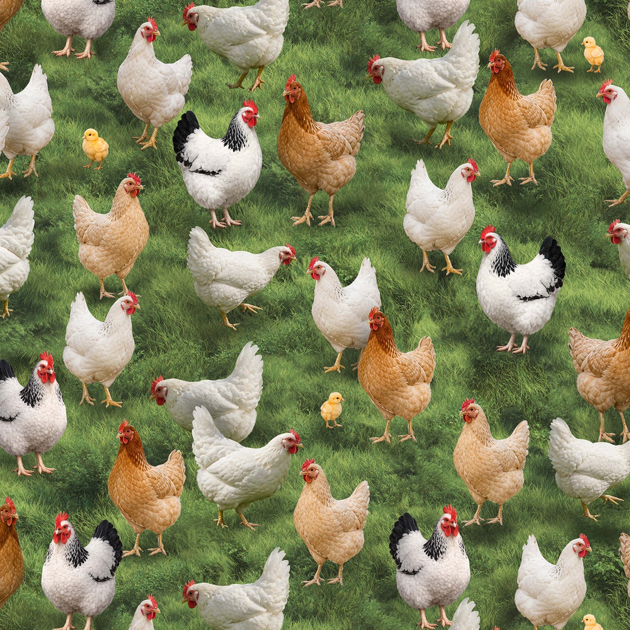 Product Image For 55887D-1.