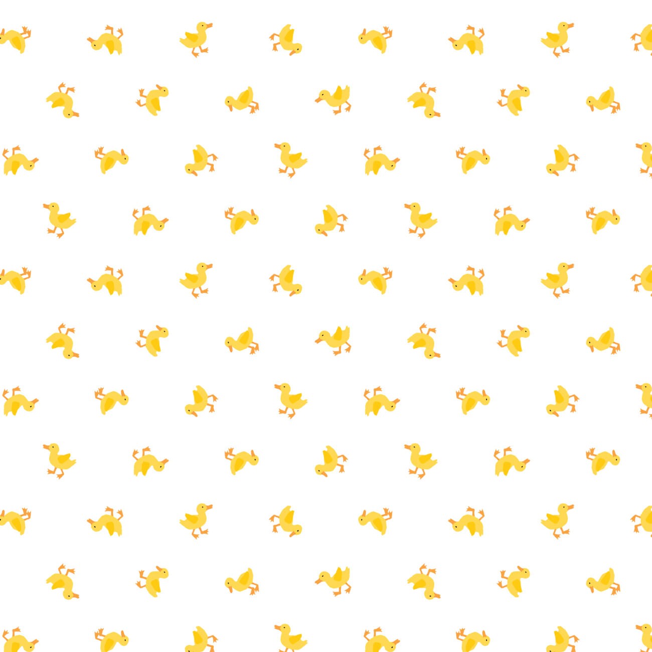 White Little Ducklings