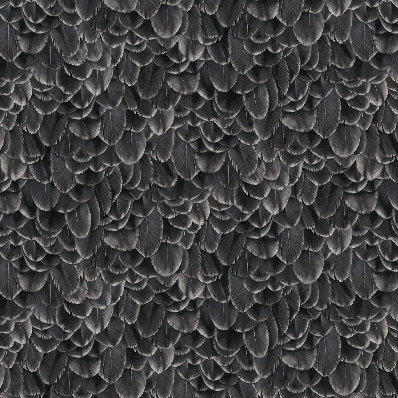 Product Image For 59001E-BLACKWHITE.