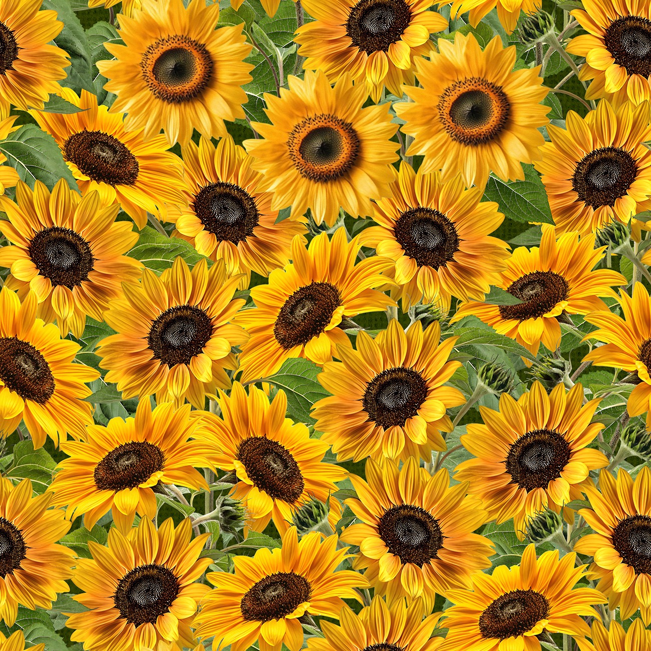 Product Image For 6008-06.