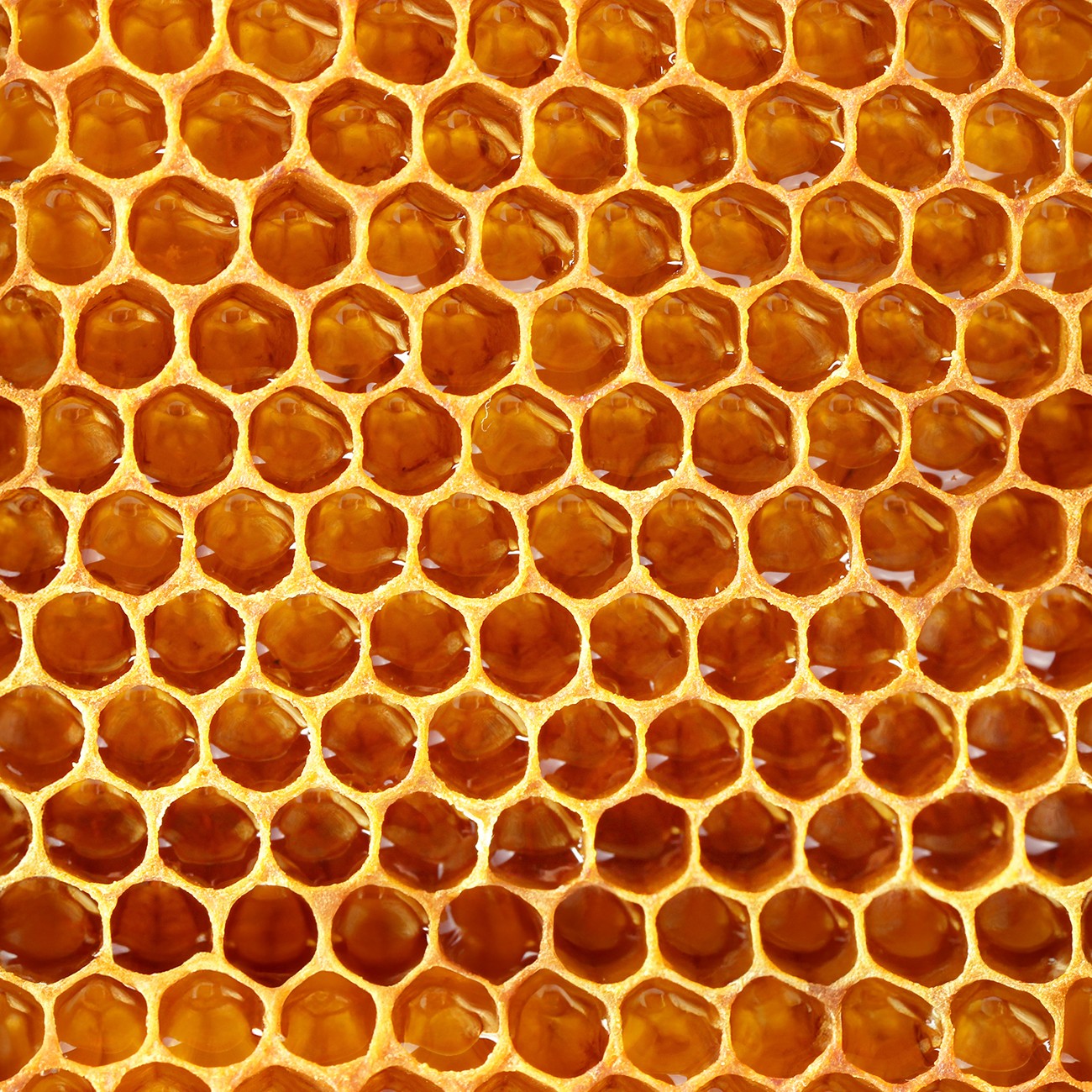 Product Image For 6008-09.